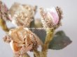 画像4: 19世紀 ナポレオン3世時代 アンティーク 薔薇のブーケの布花 パウダーピンク (4)