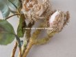 画像3: 19世紀 ナポレオン3世時代 アンティーク 薔薇のブーケの布花 パウダーピンク (3)