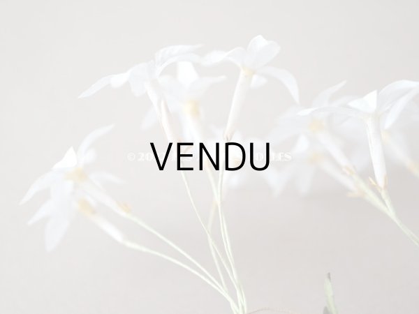 画像15: 19世紀 アンティーク 白い布花  (15)