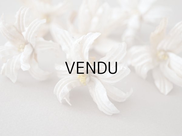 画像18: 19世紀 アンティーク 白い布花 ワックスフラワー (18)