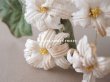 画像8: 19世紀 アンティーク 白い布花 ワックスフラワー (8)