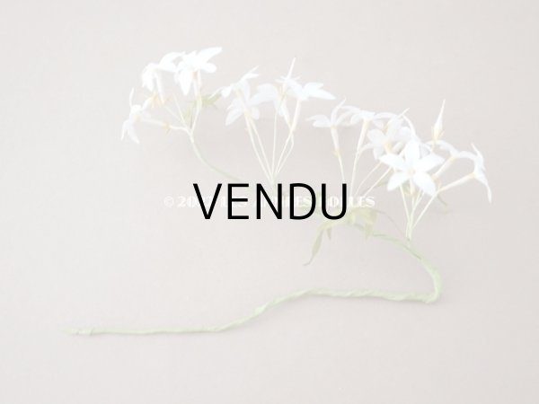 画像3: 19世紀 アンティーク 白い布花  (3)