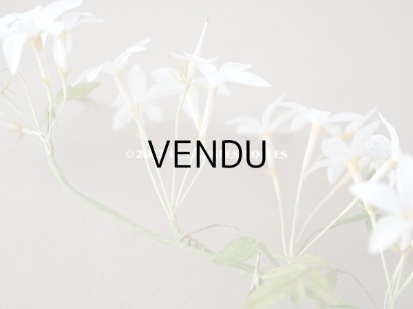 画像4: 19世紀 アンティーク 白い布花  (4)