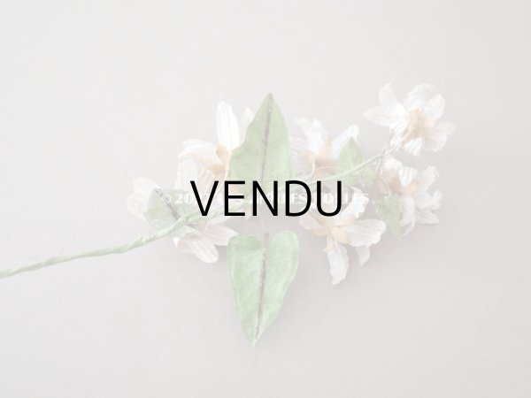 画像6: 19世紀 アンティーク 白い布花 ワックスフラワー (6)