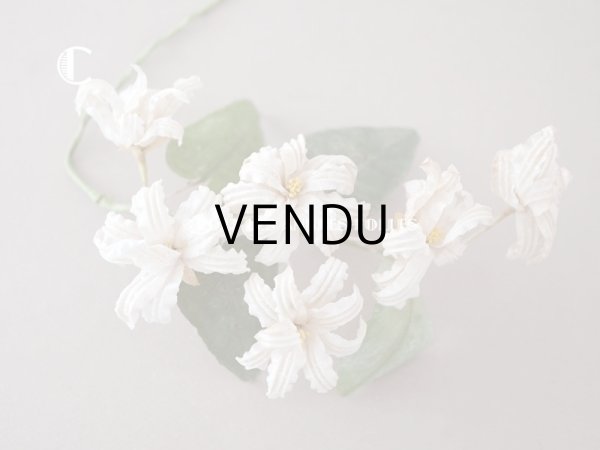 画像13: 19世紀 アンティーク 白い布花 ワックスフラワー (13)