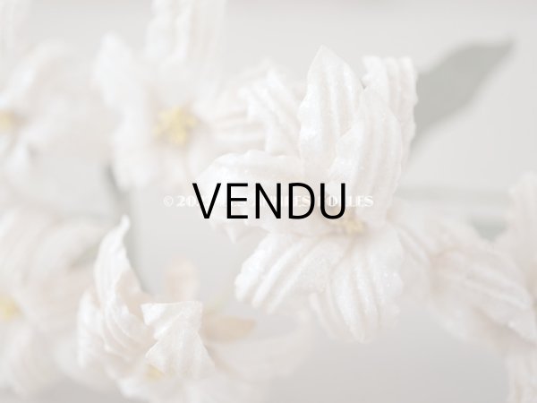 画像10: 19世紀 アンティーク 白い布花 ワックスフラワー (10)