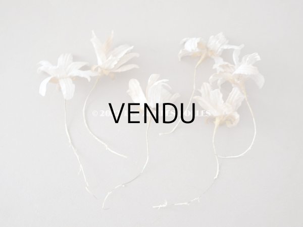 画像20: 19世紀 アンティーク 白い布花 ワックスフラワー (20)