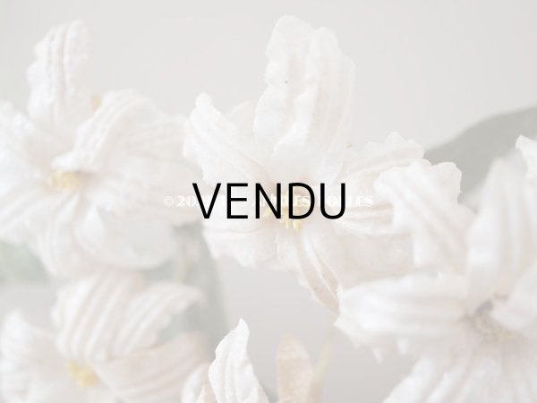 画像9: 19世紀 アンティーク 白い布花 ワックスフラワー (9)