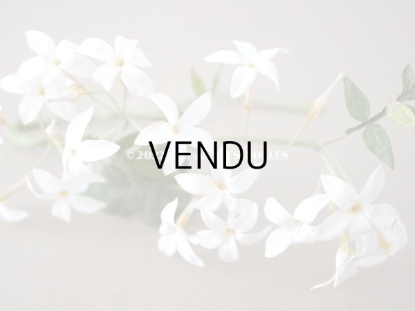 画像10: 19世紀 アンティーク 白い布花  (10)