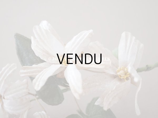 画像4: 19世紀 アンティーク 白い布花 ワックスフラワー (4)