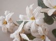 画像3: 19世紀 アンティーク 白い布花 ワックスフラワー (3)