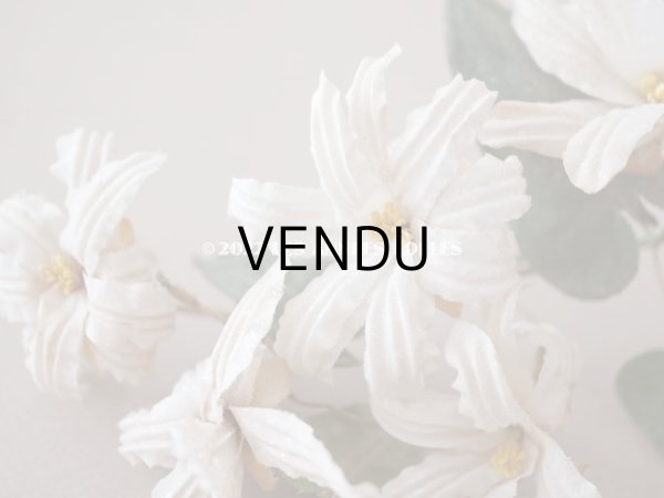 画像3: 19世紀 アンティーク 白い布花 ワックスフラワー (3)