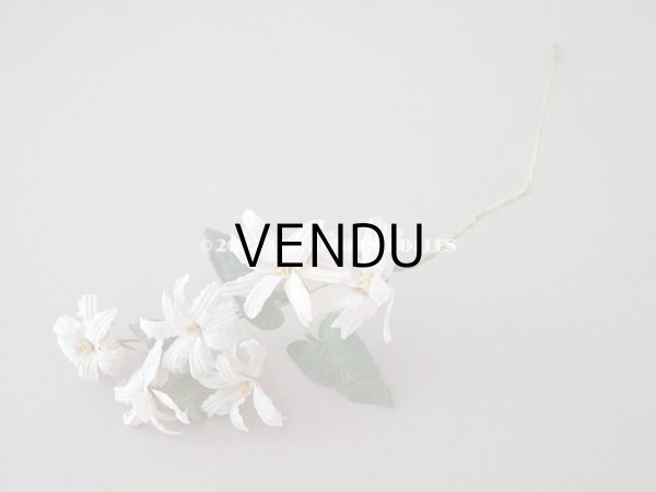 画像5: 19世紀 アンティーク 白い布花 ワックスフラワー (5)