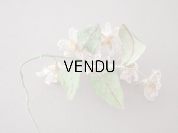 画像15: 19世紀 アンティーク 白い布花 ワックスフラワー (15)