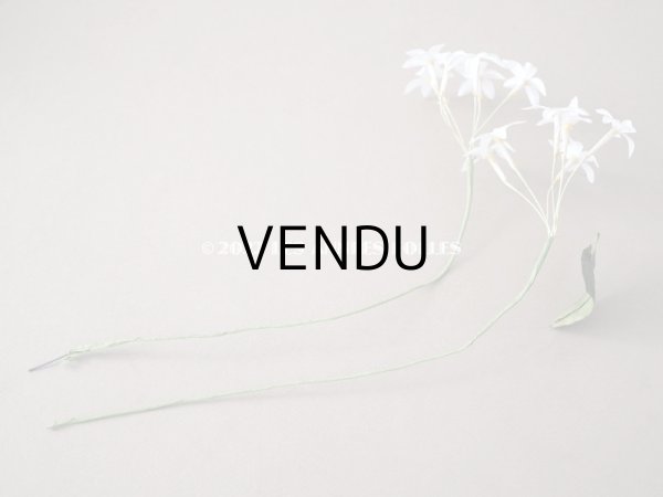 画像16: 19世紀 アンティーク 白い布花  (16)