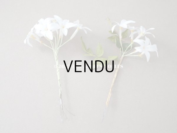 画像20: 19世紀 アンティーク 白い布花  (20)