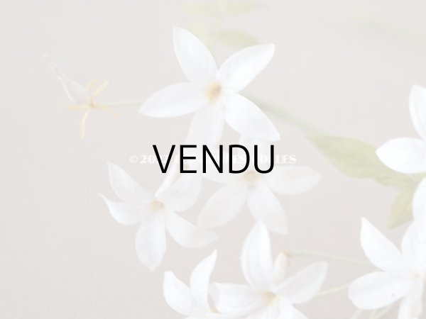 画像8: 19世紀 アンティーク 白い布花  (8)