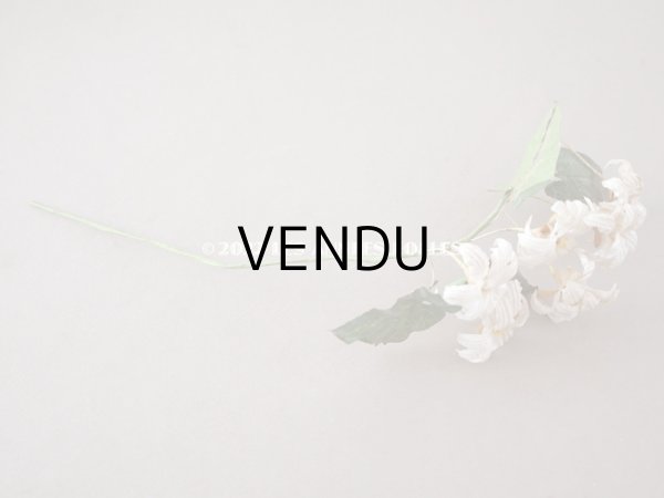 画像11: 19世紀 アンティーク 白い布花 ワックスフラワー (11)