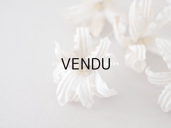 画像19: 19世紀 アンティーク 白い布花 ワックスフラワー (19)