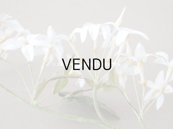 画像12: 19世紀 アンティーク 白い布花  (12)