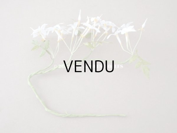 画像7: 19世紀 アンティーク 白い布花  (7)