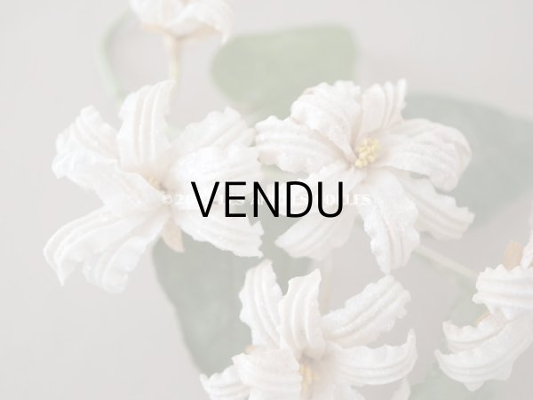 画像14: 19世紀 アンティーク 白い布花 ワックスフラワー (14)