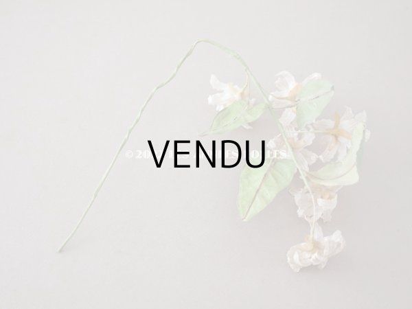 画像16: 19世紀 アンティーク 白い布花 ワックスフラワー (16)