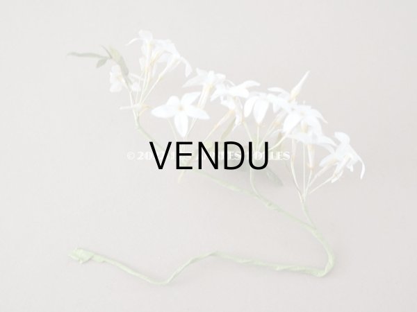 画像11: 19世紀 アンティーク 白い布花  (11)