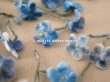 画像3: アンティーク 布花材料  ベルベットの花びらのセット 40ピースのセット ブルー　15mm (3)