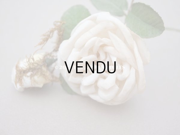 画像3: 19世紀 アンティーク 白薔薇の布花  (3)