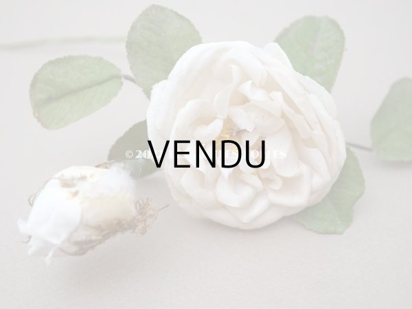 画像15: 19世紀 アンティーク 白薔薇の布花  (15)