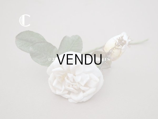 画像10: 19世紀 アンティーク 白薔薇の布花  (10)