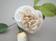 画像7: 19世紀 アンティーク 白薔薇の布花  (7)