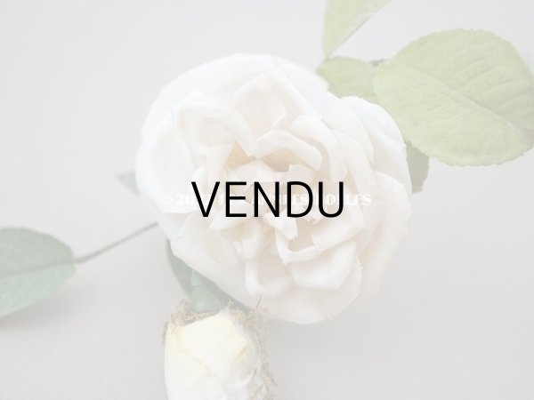 画像7: 19世紀 アンティーク 白薔薇の布花  (7)