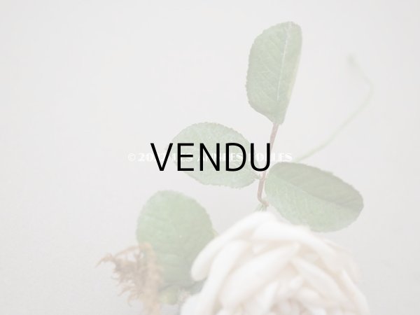 画像4: 19世紀 アンティーク 白薔薇の布花  (4)