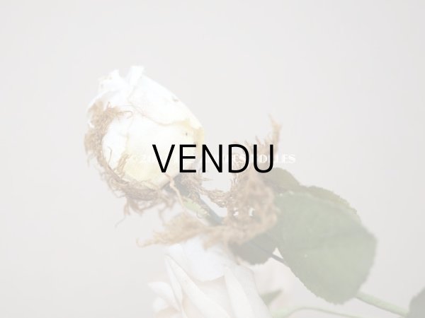 画像5: 19世紀 アンティーク 白薔薇の布花  (5)