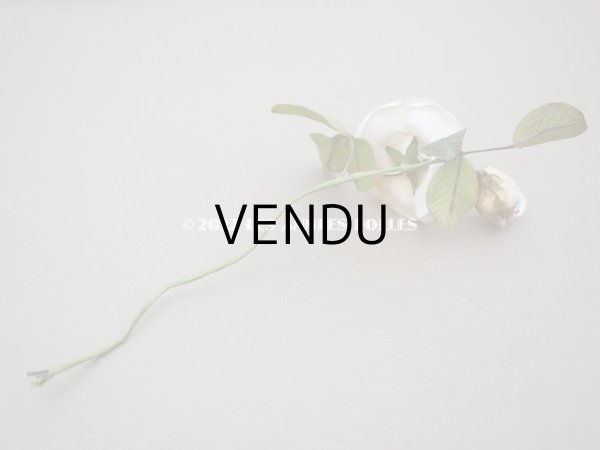 画像9: 19世紀 アンティーク 白薔薇の布花  (9)