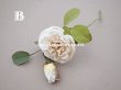 画像6: 19世紀 アンティーク 白薔薇の布花  (6)