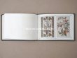 画像16: 19世紀末 アンティーク タペストリーの図案帳 59点の図案 MANUELE DE TAPISSERIES N259 - N.ALEXANDRE&CIE - (16)