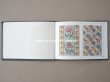 画像10: 19世紀末 アンティーク タペストリーの図案帳 59点の図案 MANUELE DE TAPISSERIES N259 - N.ALEXANDRE&CIE - (10)