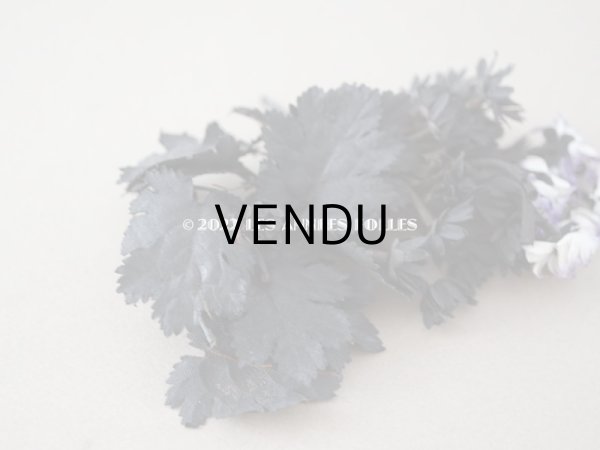 画像7: 1900年頃 アンティーク デイジーの布花　黒い花＆ホワイト・パープルの花 (7)