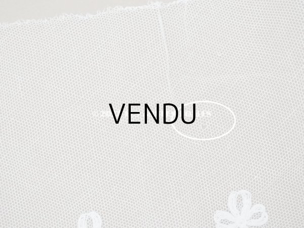 画像13: 【クリスマスセール2022対象外】アンティーク 花の刺繍入り 幅広レース 幅26.5〜28.5cm (13)