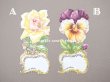 画像2: ＊蚤の市＊【クリスマスセール2024対象外】1900年代 アンティーク ダイカットクロモ　- CHOCOLAT CARPENTIER - (2)
