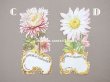 画像4: ＊蚤の市＊【クリスマスセール2024対象外】1900年代 アンティーク ダイカットクロモ　- CHOCOLAT CARPENTIER - (4)