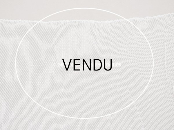 画像9: アンティーク 花の刺繍入り 幅広レース 幅28〜30cm (9)