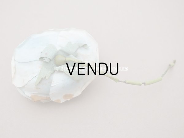 画像5: 1900年代 アンティーク　大きな薔薇の布花 パウダーブルー　クウォーターロゼット咲き (5)