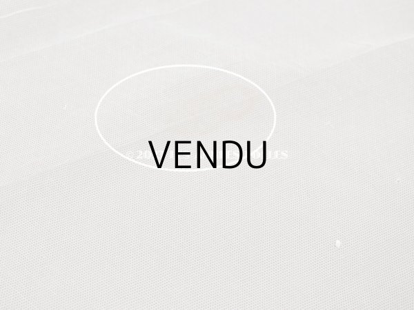 画像11: アンティーク 62cm幅　小花の刺繍入り チュールレース地 オフホワイト (11)