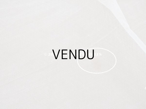 画像10: アンティーク 62cm幅　小花の刺繍入り チュールレース地 オフホワイト (10)