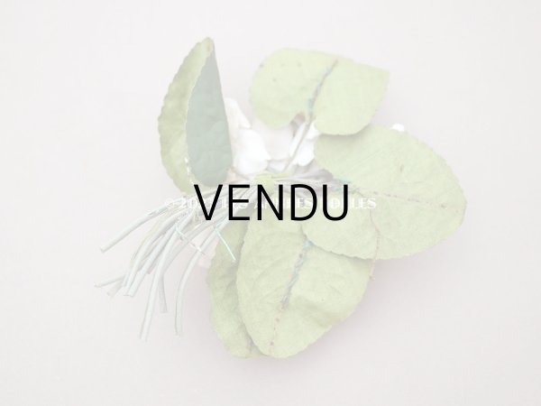 画像5: 1900年代 アンティーク 白菫の布花 パルマスミレ (5)