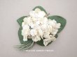 画像1: 1900年代 アンティーク 白菫の布花 パルマスミレ (1)